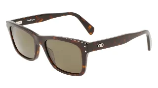 Salvatore Ferragamo Sunglasses SF1039S