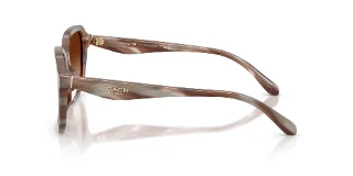 Coach Sunglasses HC8437F