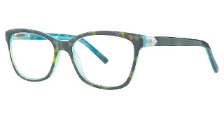 024 Tortoise