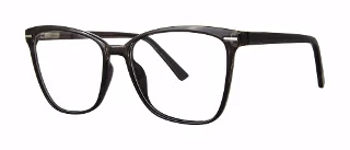 Modern Plastics II Eyeglasses APPOINT