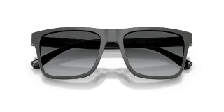 Emporio Armani Sunglasses EA4115F