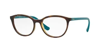2393 Dark Havana