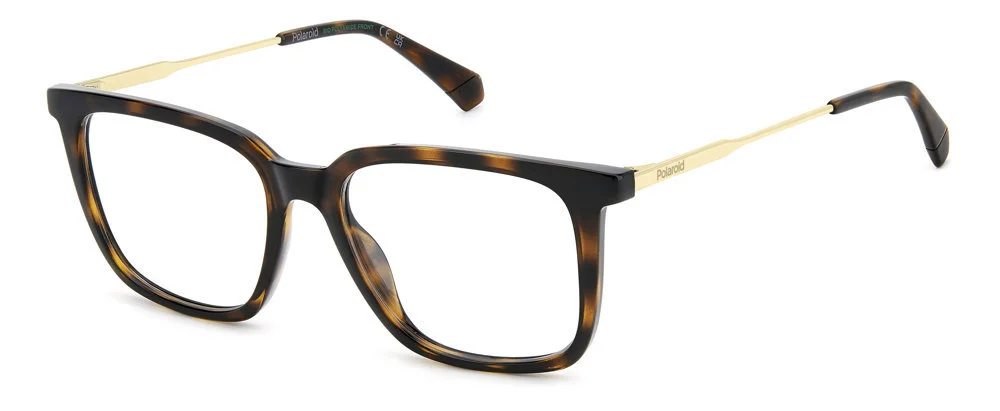 Polaroid Eyeglasses PLD D565