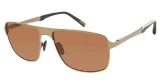Champion Eyeglasses FL6006