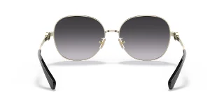 Coach Sunglasses HC7123