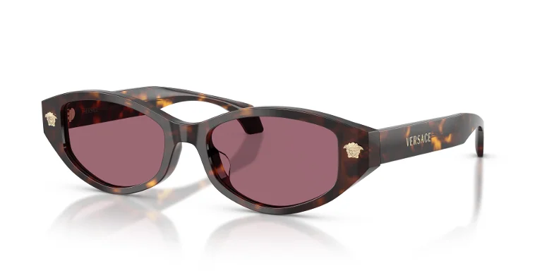 Versace Sunglasses VE4512D