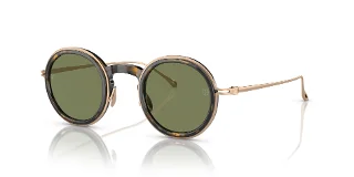 Giorgio Armani Sunglasses AR6147T