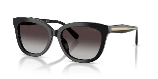 Coach Sunglasses HC8453U