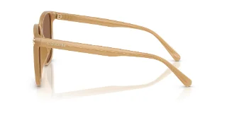 Coach Sunglasses HC8413BD