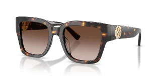 198113 Brown Tortoise