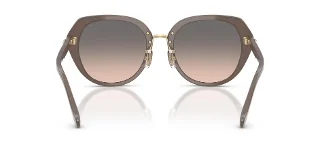 Coach Sunglasses HC8436