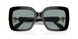 Swarovski Sunglasses SK6001F
