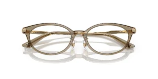 Jimmy Choo Eyeglasses JC3029D