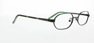 Polo Eyeglasses PP8017