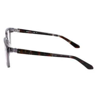 Dragon Eyeglasses DR7011