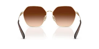 Coach Sunglasses HC7194