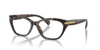 5003 Shiny Dark Havana