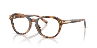6089 Havana