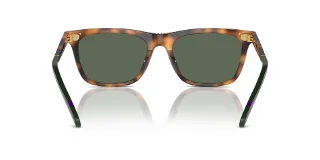 Polo Sunglasses PH4205U