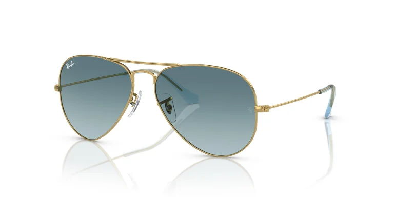 Ray Ban Sunglasses RB3025