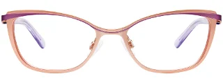 Easyclip Eyeglasses EC509
