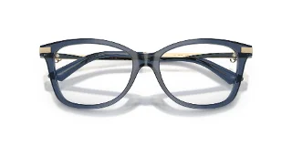 Jimmy Choo Eyeglasses JC3068B