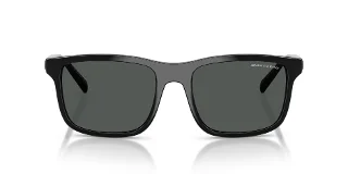 Armani Exchange Sunglasses AX4145SF
