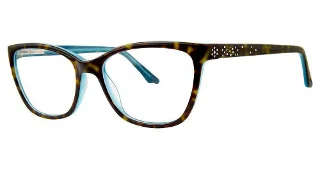 tortoise /blue
