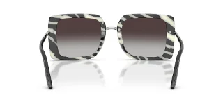 Dolce & Gabbana Sunglasses DG4491