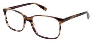 Smoke Brown Horn