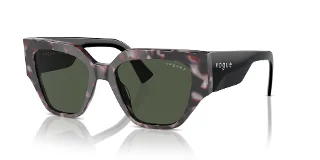 31499A Grey Tortoise