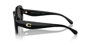 Coach Sunglasses HC8391U