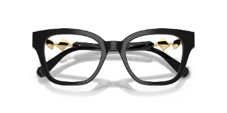 Swarovski Eyeglasses SK2048