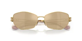 Dolce & Gabbana Sunglasses DG2338