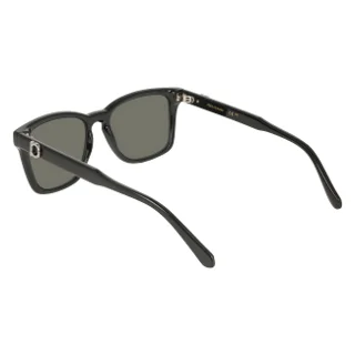 Salvatore Ferragamo Sunglasses SF2086SE