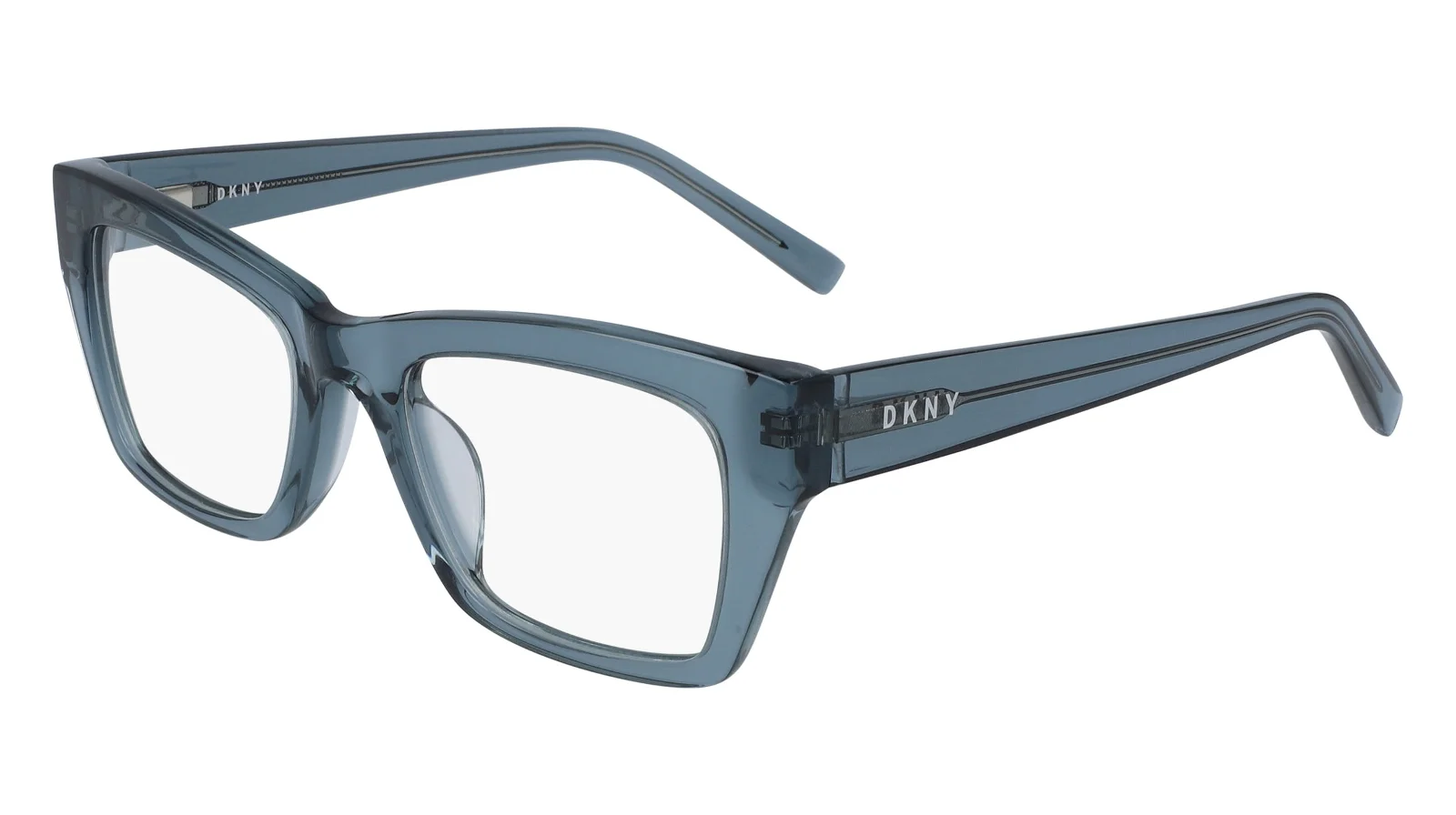 Dkny Eyeglasses DK5021