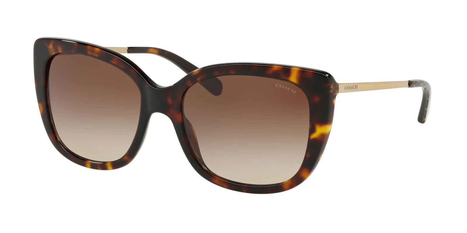 Coach Sunglasses HC8246