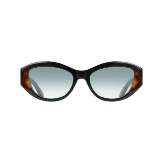 Salvatore Ferragamo Sunglasses SF2104S