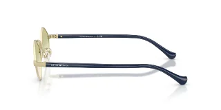 Emporio Armani Sunglasses EA2182