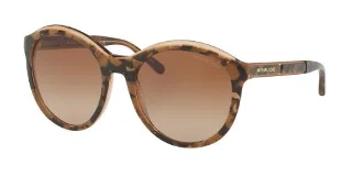 325213 Brown Tort Graphic