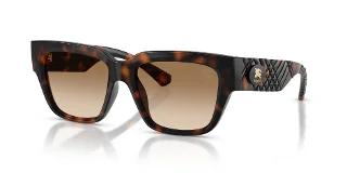 300289 Dark Havana