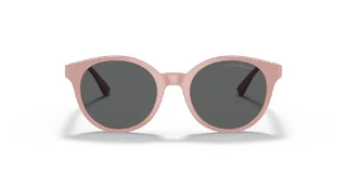 Emporio Armani Sunglasses EK4185