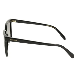 Salvatore Ferragamo Sunglasses SF2102S