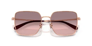 Coach Sunglasses HC7184D