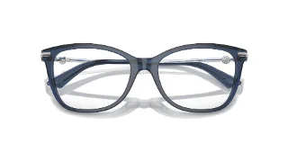 Jimmy Choo Eyeglasses JC3007HF