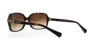 Coach Sunglasses HC8116 L087 Blair