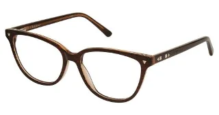 C01 Brown Horn