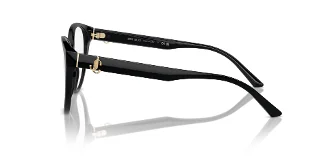 Jimmy Choo Eyeglasses JC3009