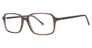 Stetson Eyeglasses 310
