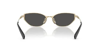 Coach Sunglasses HC7196D